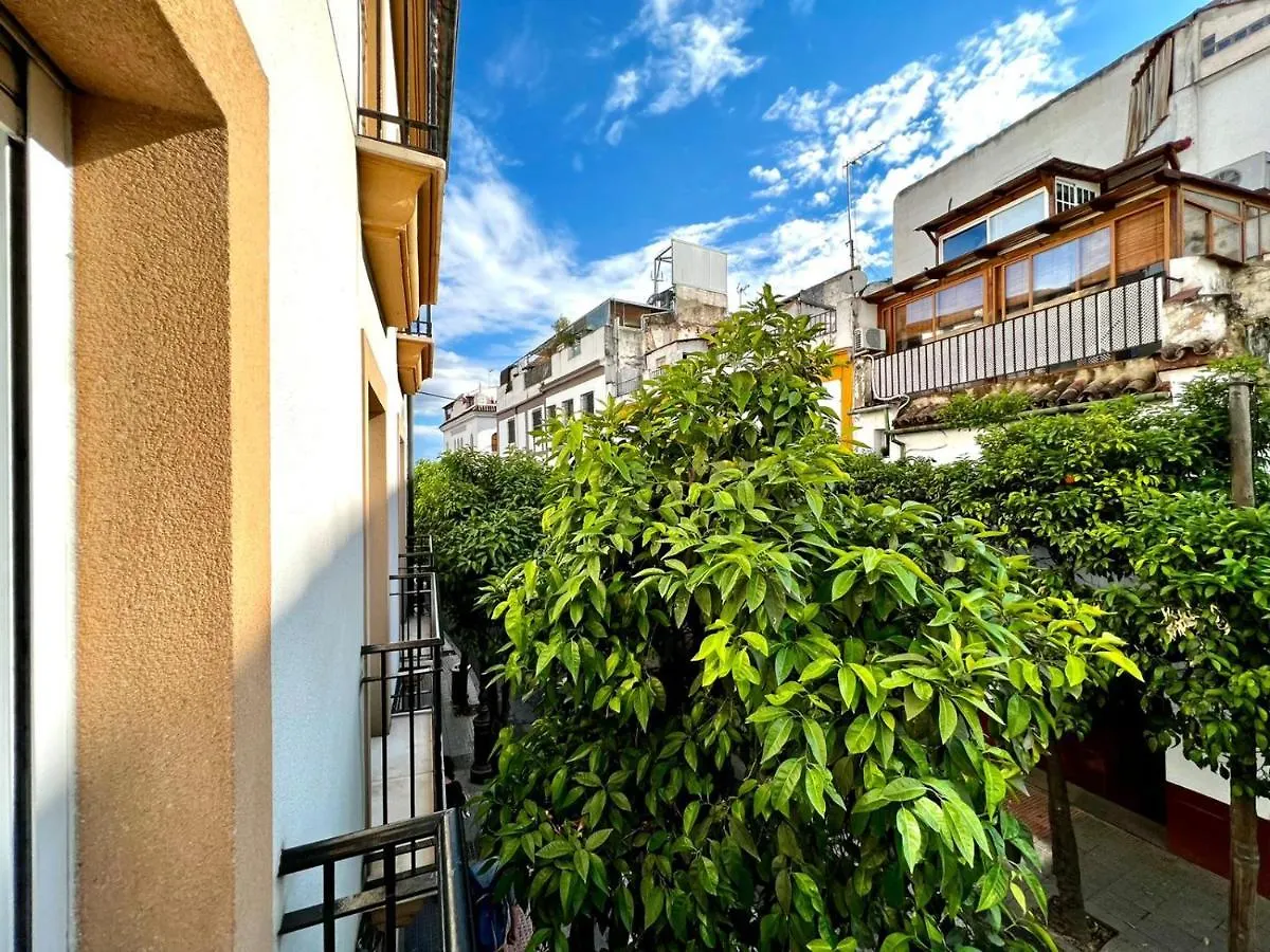 San Fernando De La Ribera contacts